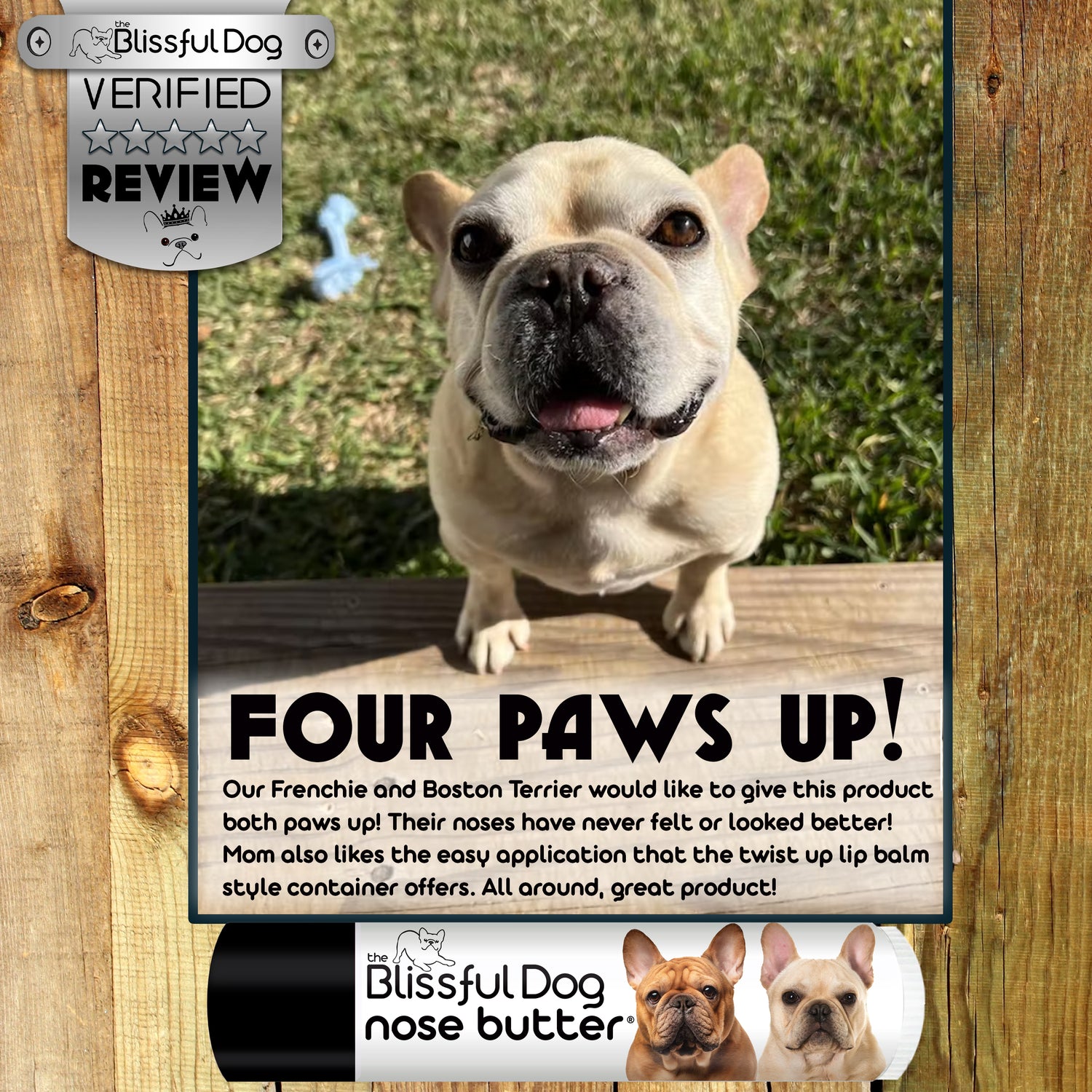 4 Paws Up!